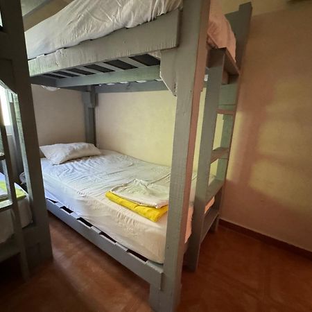 Pecari 26 Apartment Cancun Exterior photo