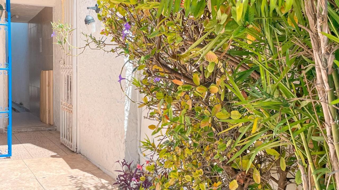 Pecari 26 Apartment Cancun Exterior photo